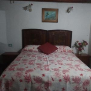 Economy Vierbettzimmer